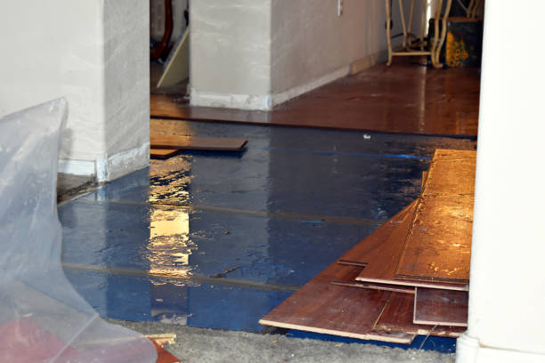 Professional Crawl Space Water Removal technician working in Weaverville, CA